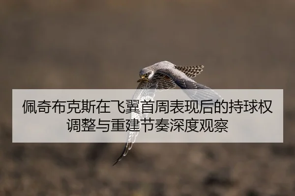 pei-qi-bu-ke-si-zai-fei-yi-shou-zhou-biao-xian-hou-de-chi-qiu-quan-tiao-zheng-yu-chong-jian-jie-zou-shen-du-guan-cha-1-241.jpg