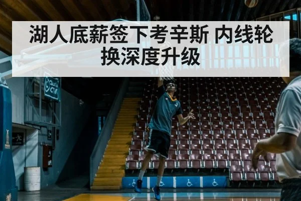湖人底薪签下考辛斯 内线轮换深度升级